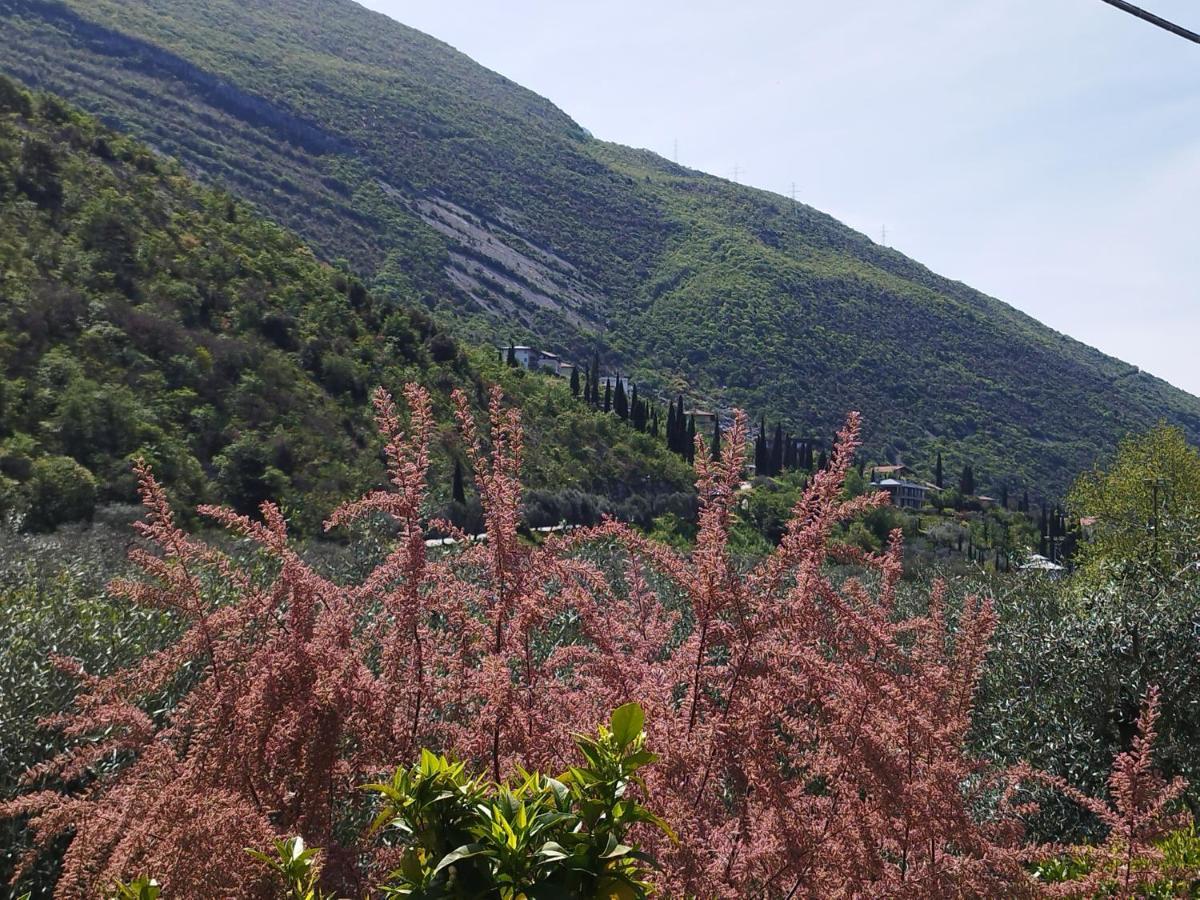 Casa Di Nin Torbole Sul Garda Exterior foto